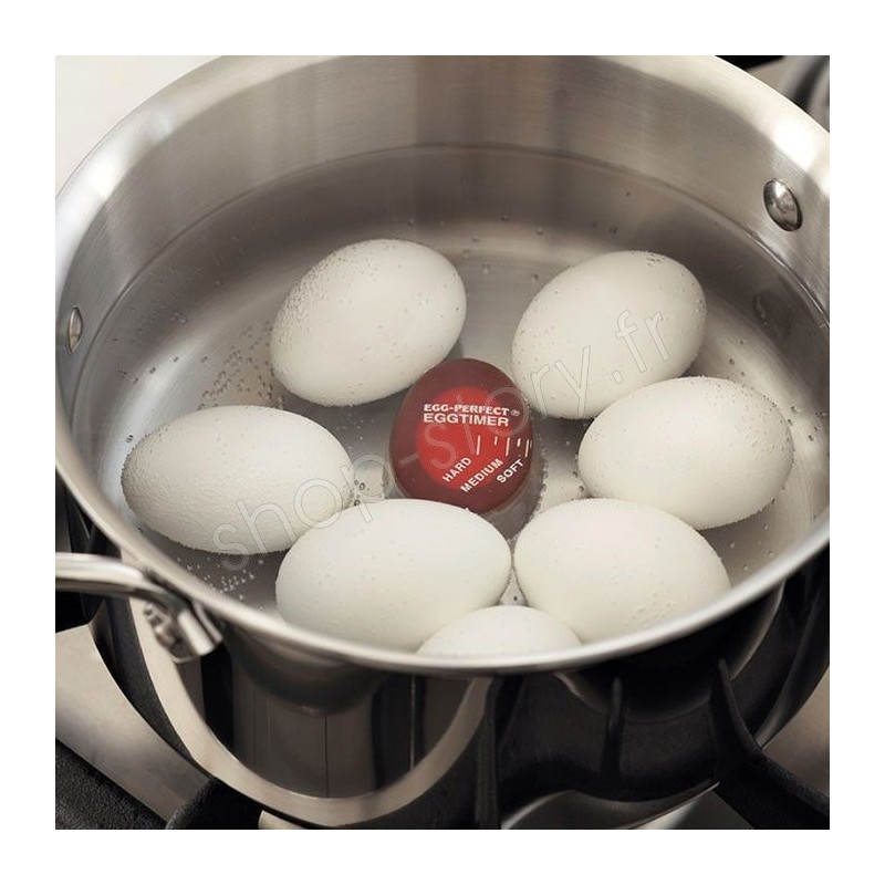 Eierstecher Minuteur Grundig Grundig Cuit-œufs EB 8680 6 Oeufs 400 Watt Mesurer 