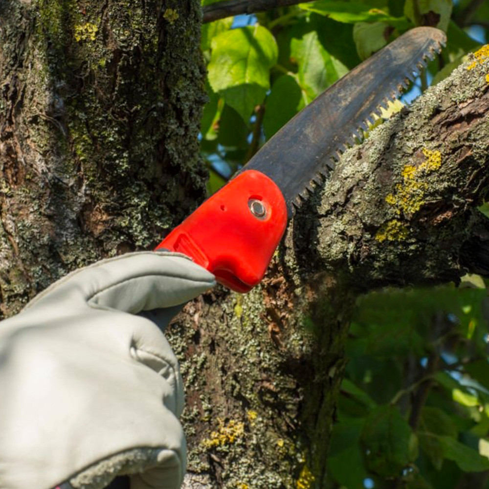 Scie Japonaise Pliante Usage Multiple Chaprentier Menuisier Elagage Lame 210 Mm - Fabriqué Au Japon