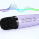 Kit de Karaoké Portable avec Enceinte LED et 2 Microphones Sans Fil Bluetooth avec Effets Sonores