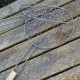 Pince de Cuisine en Inox pour Barbecue et Plancha