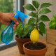 Vaporisateur Boule 350ml avec Buse Réglable pour Plantes et Nettoyage - Couleur Aléatoire