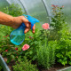 Vaporisateur Boule 350ml avec Buse Réglable pour Plantes et Nettoyage - Couleur Aléatoire