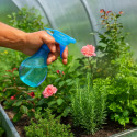 Vaporisateur Boule 350ml avec Buse Réglable pour Plantes et Nettoyage - Couleur Aléatoire