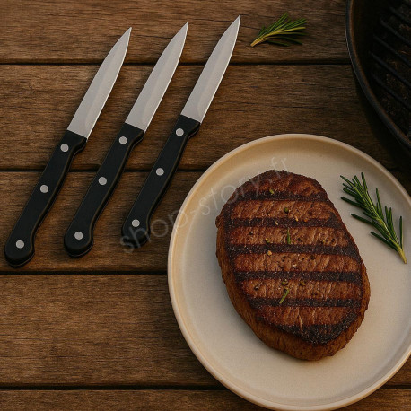 Lot de 3 couteaux à steak en acier inoxydable – Lame lisse 11 cm