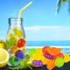 Glaçons réutilisables en forme de fruits – Lot de 20 pour boissons fraîches sans eau ajoutée