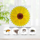 Stickers anti-mouches motif tournesol – Pack de 4, usage intérieur, non toxique