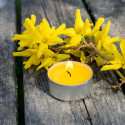 Lot de 9 Bougies Anti-Moustique à la Citronnelle – Extérieur