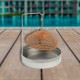 Cloche Alimentaire Pliable en Maille pour Protection Anti-Insectes et Conservation des Aliments