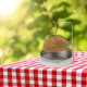 Cloche Alimentaire Pliable en Maille pour Protection Anti-Insectes et Conservation des Aliments