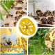 Cloche Alimentaire Pliable en Maille pour Protection Anti-Insectes et Conservation des Aliments