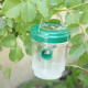 Cloche Alimentaire Pliable en Maille pour Protection Anti-Insectes et Conservation des Aliments