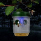 Cloche Alimentaire Pliable en Maille pour Protection Anti-Insectes et Conservation des Aliments