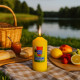 Cloche Alimentaire Pliable en Maille pour Protection Anti-Insectes et Conservation des Aliments
