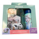 Set Repas Enfant Reine des neiges avec Boîte à Gouter et Gourde 420ml Plastique vert clair pour Ecole et Sorties