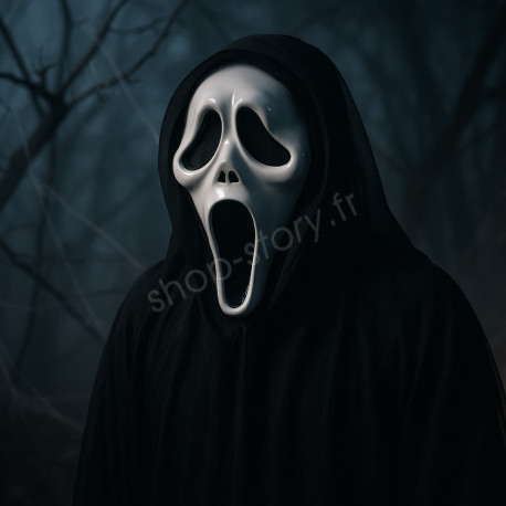Masque Scream 30 cm en Plastique avec Voile Noir Film dHorreur Déguisement Halloween