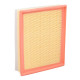Filtre à Air pour Véhicules DS/CITROËN/TOYOTA/PEUGEOT & OPEL