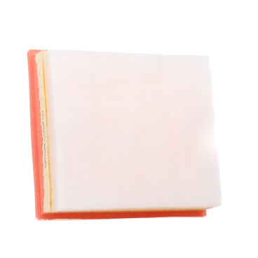 Filtre à Air pour Véhicules DS/CITROËN/TOYOTA/PEUGEOT & OPEL