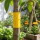 Pack de 2 Rubans Double Face Anti-Insectes Jaunes 10 x 220 cm – Pièges Adhésifs pour Arbres et Potager