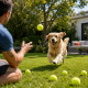 Set de 6 Balles Jaunes Classiques pour Tennis – Balles pour Entraînement, Loisirs et Jeux Extérieur
