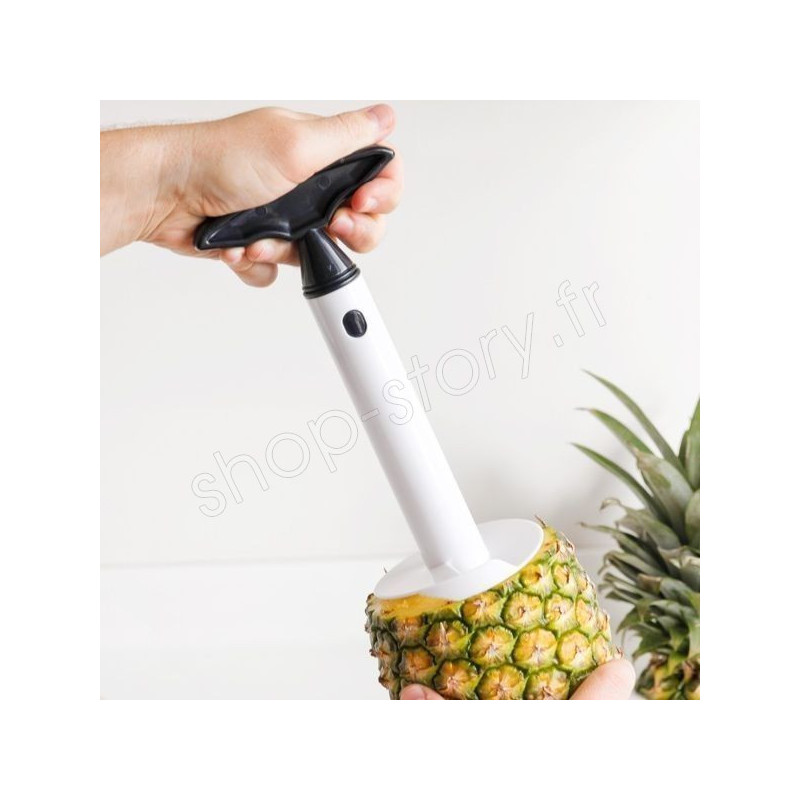 YSDSY Coupe-ananas en Acier Inoxydable, Coupe Ananas, Trancheur d