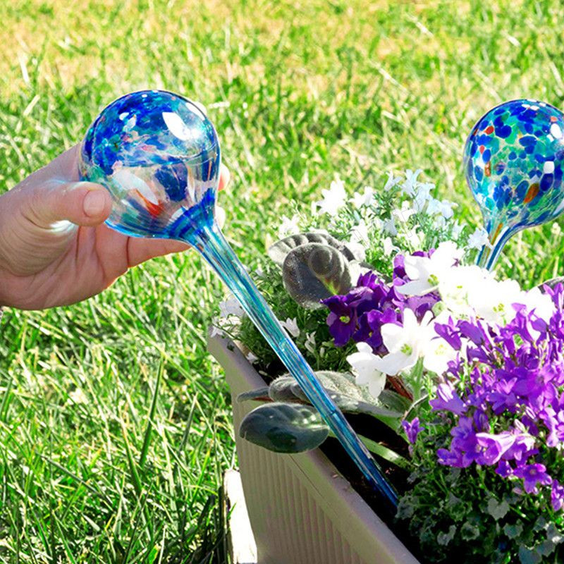 LOCOLO Lot de 12 petits globes d'arrosage automatiques en PVC pour plantes d'intérieur 4,5 cm de diamètre 