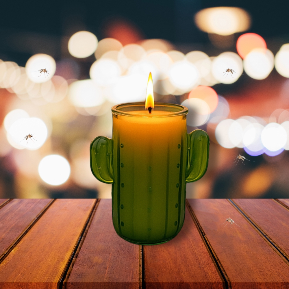 Bougie Citronnelle Cactus en Pot