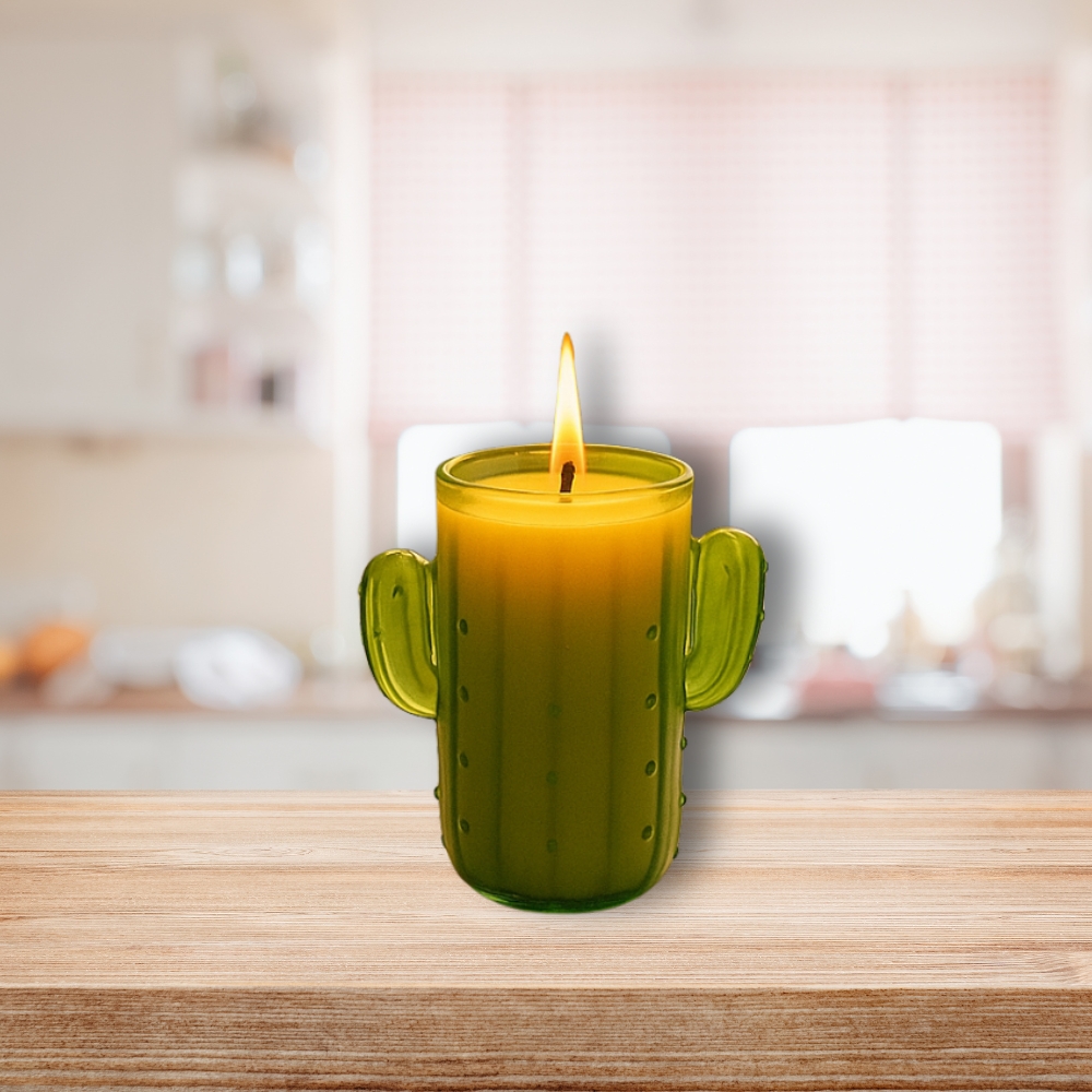 Bougie Citronnelle Cactus en Pot