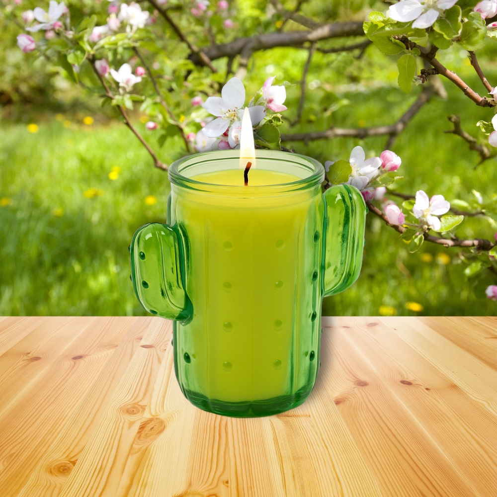 Bougie Citronnelle Cactus en Pot