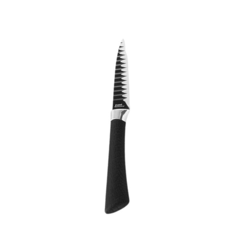 Victorinox SwissClassic 6.7133.4G set di coltelli da cucina, 4-pz, nero