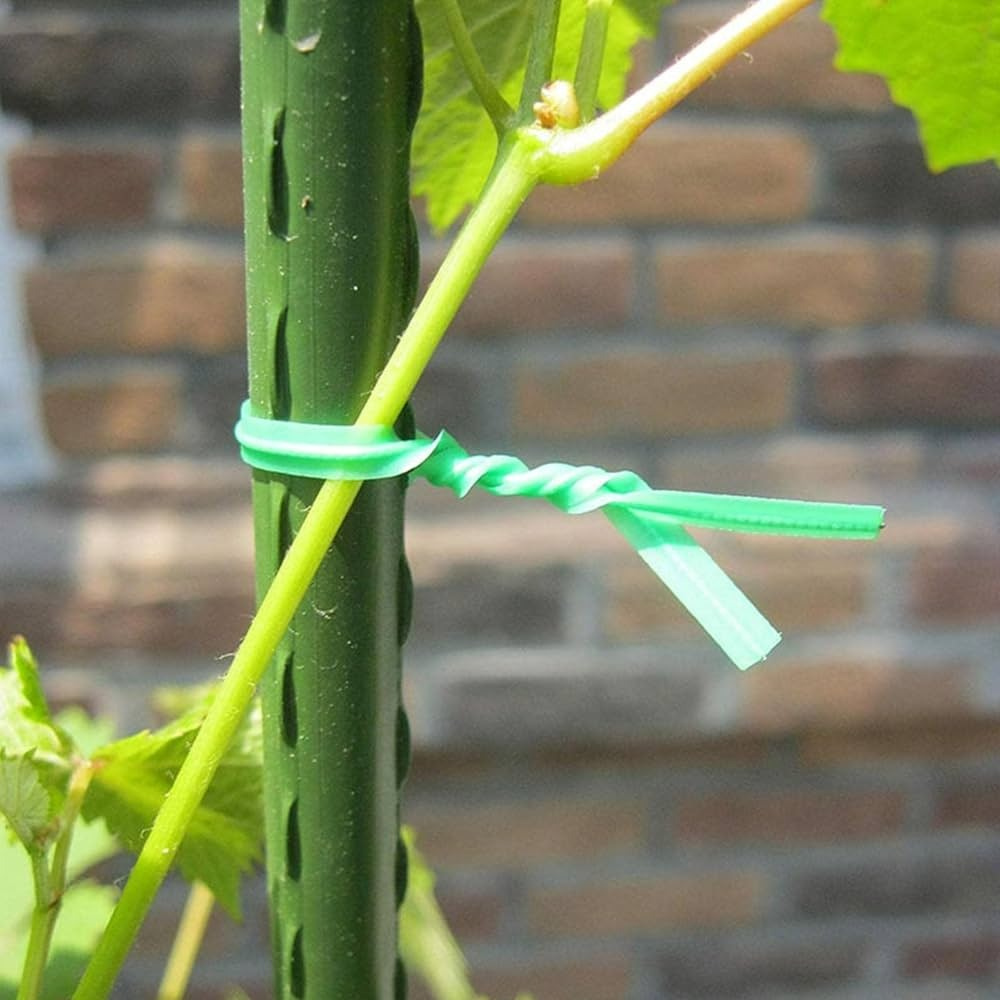 Fil De Jardin Gainé Vert 100 M – Souple Et Résistant – Avec Coupe-fil Intégré – Pour Tuteurer, Attacher, Fixer